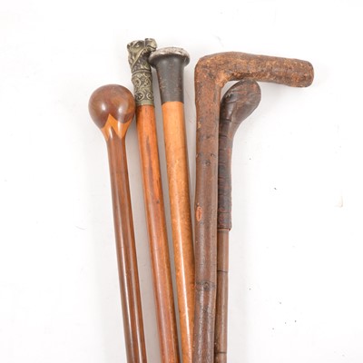 Lot 204 - Collection of walking sticks