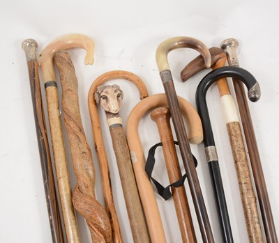Lot 1150 - A collection of canes and walking sticks