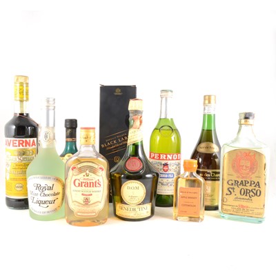 Lot 91 - Ten bottles of assorted whisky and liqueurs