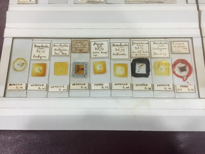Lot 1118 - A box of microscope slides