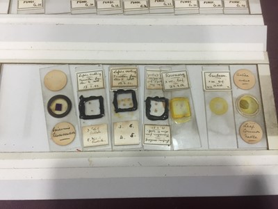 Lot 1118 - A box of microscope slides