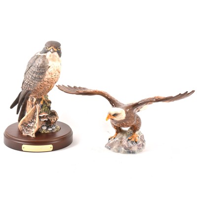 Lot 77 - A Doulton Peregrine Falcon figure, and a Beswick Bald Eagle