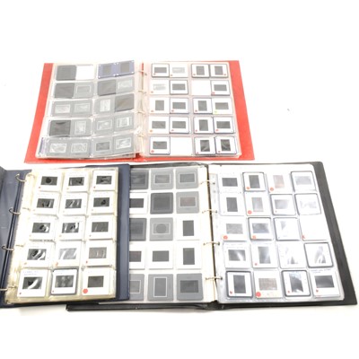 Lot 238 - Collection of medical lecture slides in folders