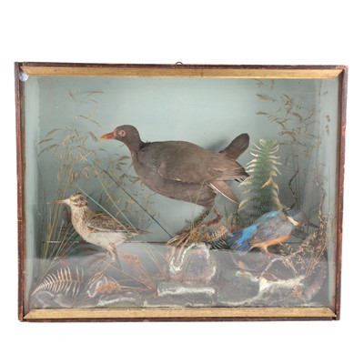 Lot 135 - Taxidermy: Victorian arrangement of British water birds