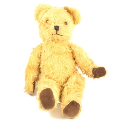 Lot 28 - A Pedigree long haired teddy bear, with growler