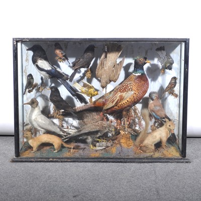 Lot 197 - Taxidermy: A Victorian taxidermists arrangement in a glazed case, 85cm x 62cm.