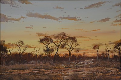 Lot 267 - Errol Norbury, Bushveld landscape at dusk