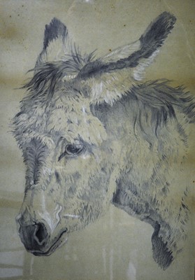 Lot 456 - After Edwin Landseer, A Donkey, chalk drawing, 70cm x 50cm.