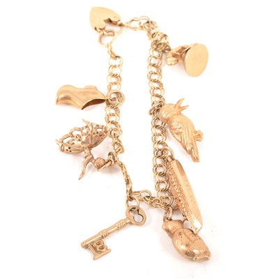 Lot 194 - A 9 carat yellow gold charm bracelet and charms.