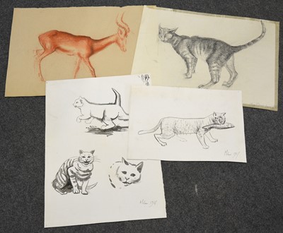 Lot 374 - Mary Milner Dickens, a portfolio of animal studies, sketches, and artworks, late 1950s