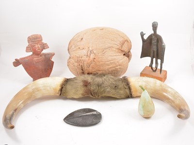 Lot 215 - A small number of fossils, cow horns, and objects of ethnographica