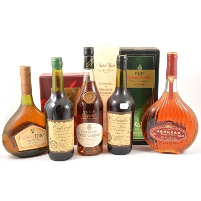 Lot 317 - Assorted Cognac , Armagnac, and Calvados