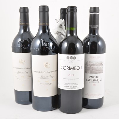 Lot 255 - A selection of Spanish red wines
