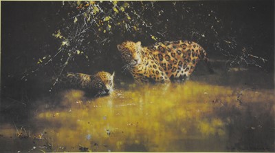 Lot 400 - After David Shepherd, Jaguars, colour print, signed