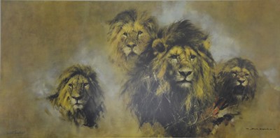 Lot 410 - After David Shepherd, Lions, colour print, signed