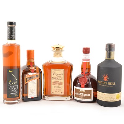 Lot 309 - Twelve assorted bottles of spirits, including Cognac, Gin, Vodka, etc