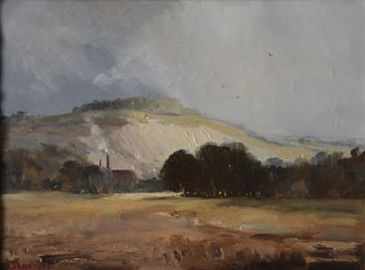 Lot 364 - Marcus Ford - Houghton Quarry, Sussex, nr Amberley.