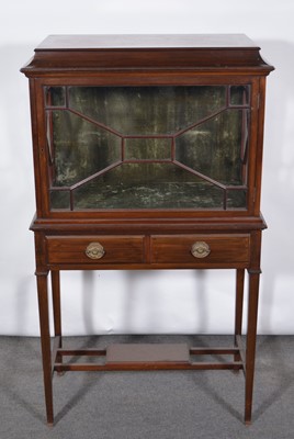 Lot 497 - Edwardian mahogany vitrine