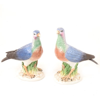Lot 21 - Pair of Thuringian porcelain models of pigeons.