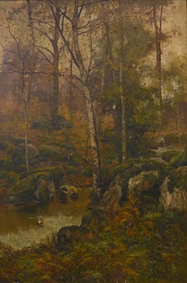 Lot 401 - H T Cox - Woodland scene.