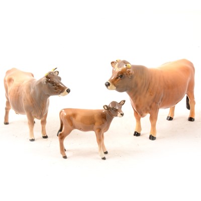 Lot 7 - A Beswick Jersey Bull "Ch. Dunsley Coy Boy", Cow "Ch. Newton Tickle", and Calf models.