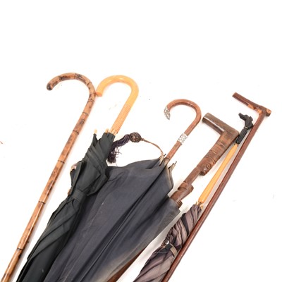 Lot 262 - Vintage umbrellas and walking sticks.