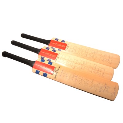 Lot 113 - Cricket interest: three signed cricket bats, Australia 1993 Touring Squad, New Zealand 1994 .