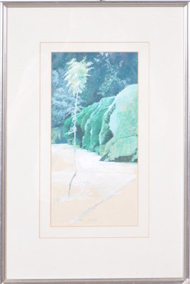 Lot 419 - Howard Carter, Ash sapling, Melbourne Hall