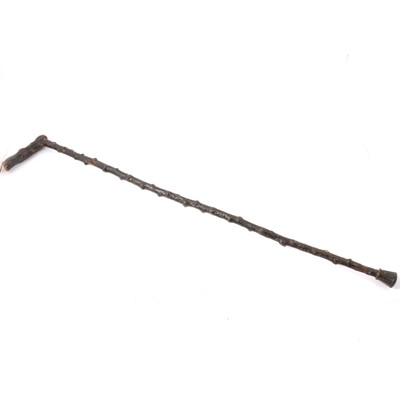 Lot 172 - A 19th century folk brussel sprout stem walking stick.