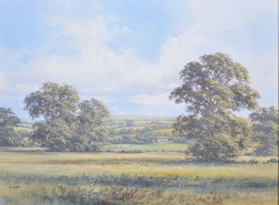 Lot 101 - Allan Morgan, Country landscape