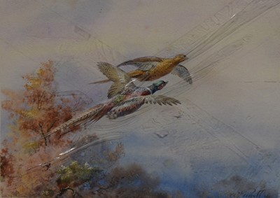 Lot 359 - William Edward Powell, Pheasants.