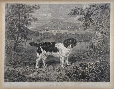 Lot 327 - After William Smith, Flush, an engraving of a dog.