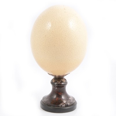 Lot 169 - Ostrich egg and stand.