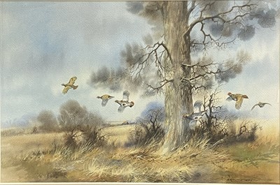 Lot 492 - Brian C Day, Partridges breaking from cover