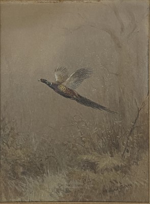 Lot 462 - Roland Green, Pheasant in flight