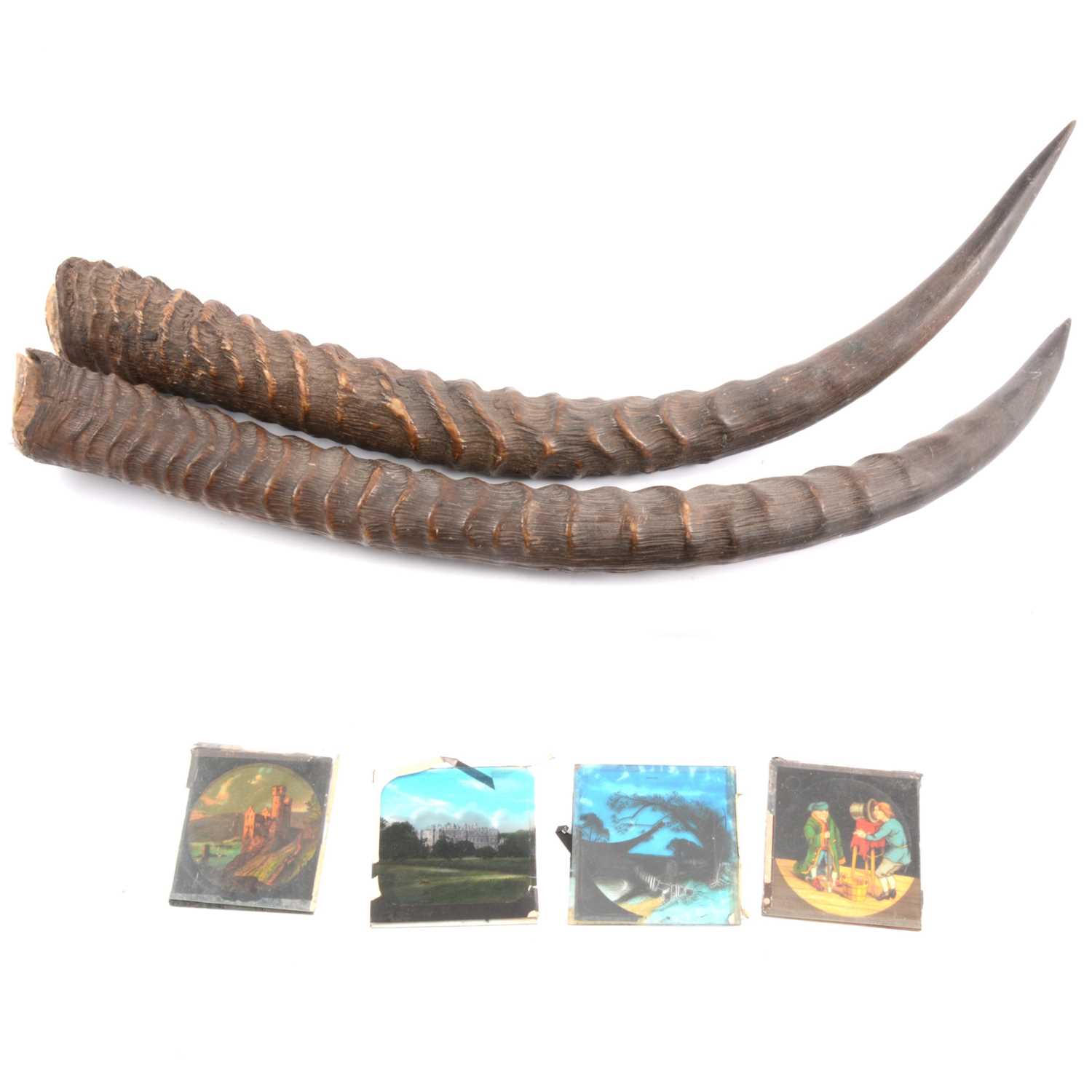 Lot 108 - Pair of un-mounted antelope horns, and miscellaneous lantern slides