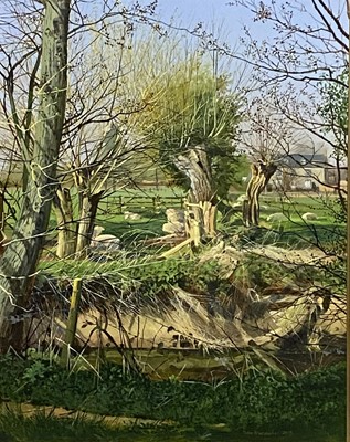 Lot 67 - Peter Newcombe, Slapton from the river bank