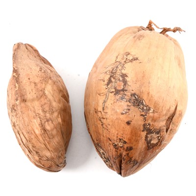 Lot 94 - Two coconuts