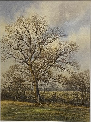 Lot 486 - Edward Stamp, Young Oak Trees, Stewkley, Buckinghamshire.