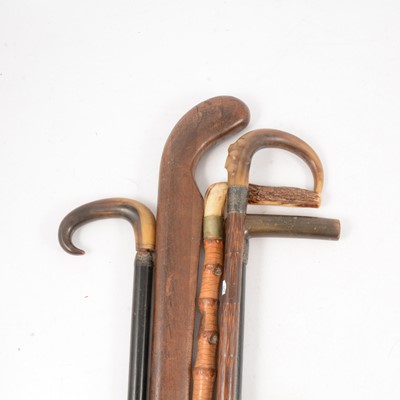 Lot 104 - Five walking canes and sticks, stag's horn and bovine handles.