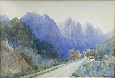 Lot 479 - Albert Stevens, and C Blackwood, two watercolours