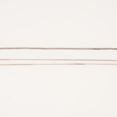 Lot 341 - A platinum chain and a 9 carat white gold chain.