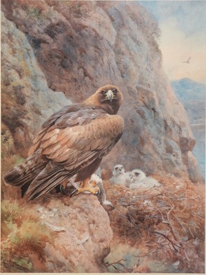 Lot 260 - After Archibald Thorburn, The Eagle's Eyrie