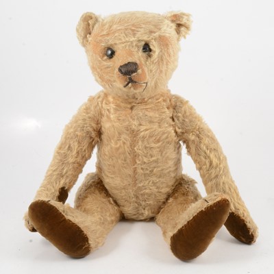 Lot 286 - Steiff Teddy bear, 'Little Ted' early 20th century, with original Steiff button to ear