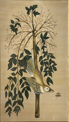 Lot 433 - Chinese school, pair of ornithological prints on silk