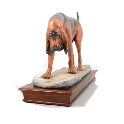 Lot 12 - Albany Fine China model of a Bloodhound