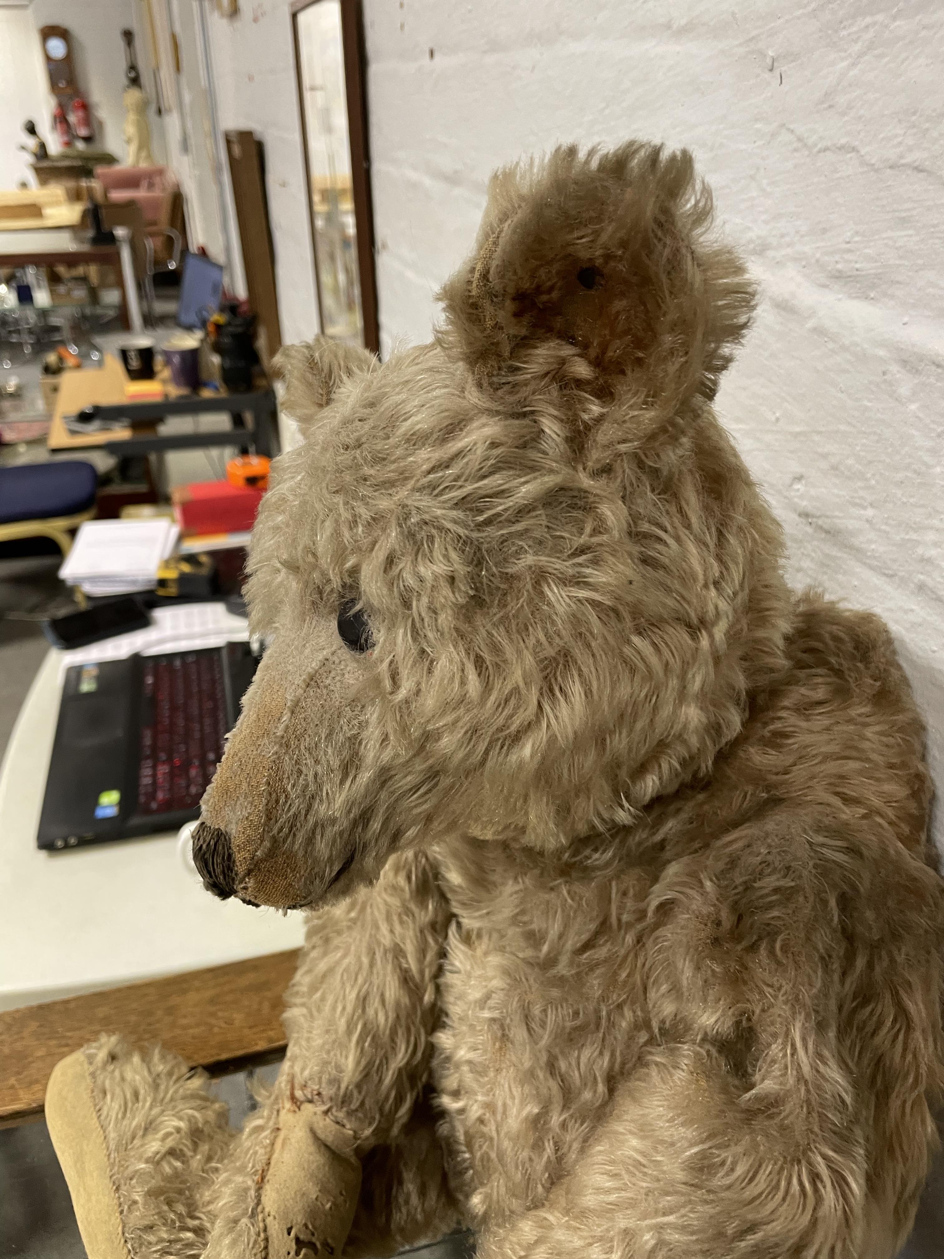 Lot 250 - Steiff Teddy bear, early 20th century, with