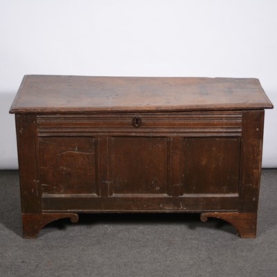 Lot 495 - Smal oak coffer