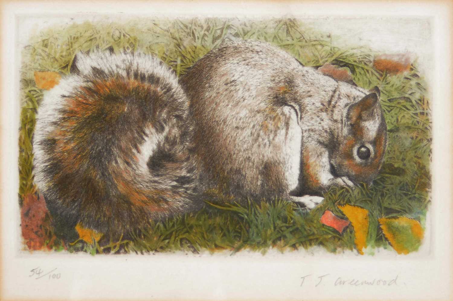 Lot 432 - Quantity of Etchings and Prints of animals