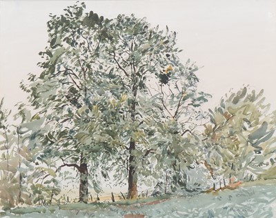 Lot 217 - Ralph Hartley, Tree study